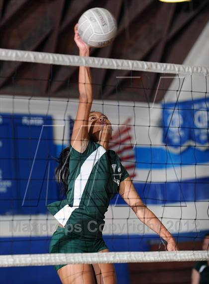 Thumbnail 3 in Temple City @ San Marino photogallery.