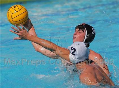 Thumbnail 3 in Carlmont @ San Mateo photogallery.