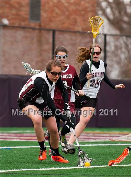 Thumbnail 2 in Harrison @ Ossining photogallery.