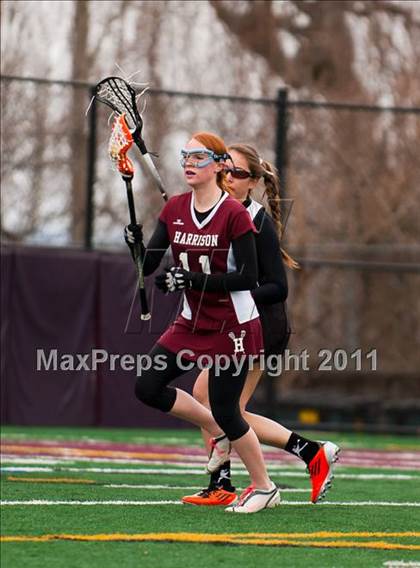 Thumbnail 2 in Harrison @ Ossining photogallery.