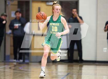 Thumbnail 1 in Newark Catholic vs. Berne Union (OHSAA D4 District Final) photogallery.