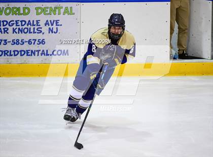 Thumbnail 2 in Roxbury @ Morris Knolls photogallery.