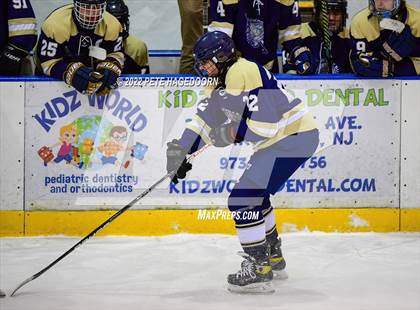 Thumbnail 3 in Roxbury @ Morris Knolls photogallery.