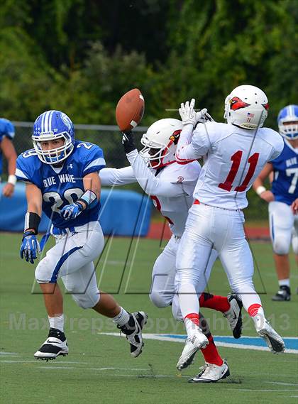 Thumbnail 2 in Greenwich @ Darien photogallery.
