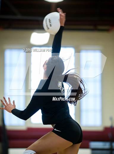 null - Photo 41