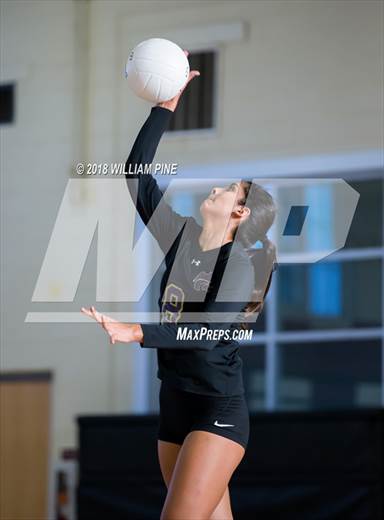 null - Photo 11