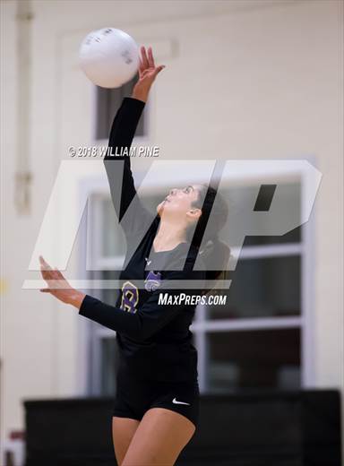 null - Photo 31