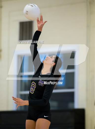 null - Photo 01