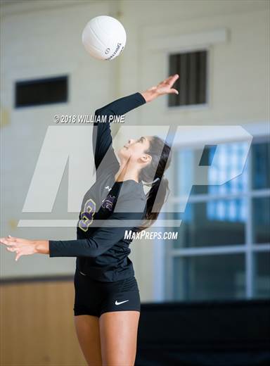 null - Photo 21