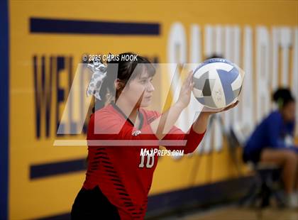 Thumbnail 2 in Willcox @ Sahuarita photogallery.