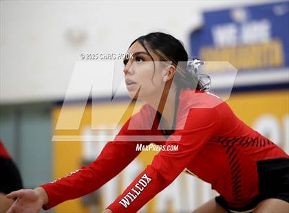 Thumbnail 2 in Willcox @ Sahuarita photogallery.
