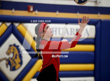 Thumbnail 2 in Willcox @ Sahuarita photogallery.