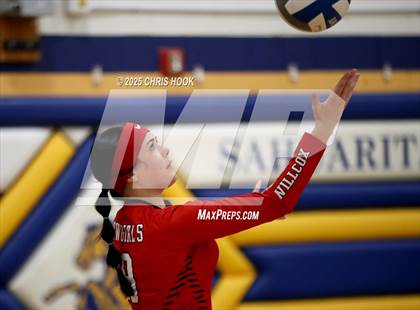 Thumbnail 3 in Willcox @ Sahuarita photogallery.