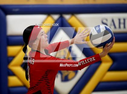 Thumbnail 1 in Willcox @ Sahuarita photogallery.