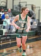 Photo from the gallery "Bear Creek @ D'Evelyn"