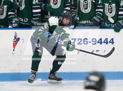 Thumbnail 3 in Dakota @ Utica Eisenhower photogallery.
