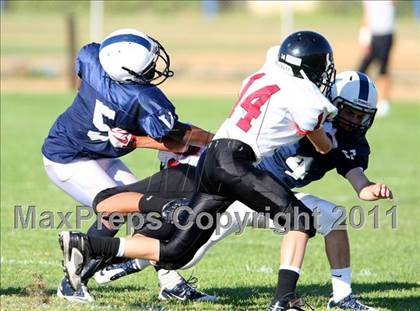 Thumbnail 1 in Harvard-Westlake @ Venice (Freshman) photogallery.