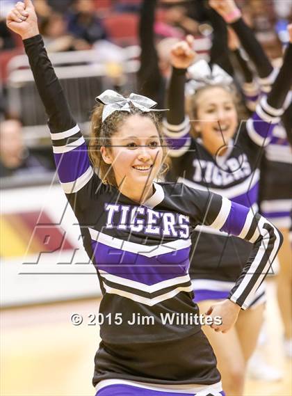 Thumbnail 3 in Dobson @ Millennium (AIA Division1 Final) photogallery.