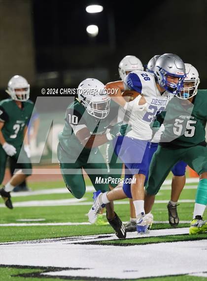Thumbnail 2 in Desoto @ Lakewood Ranch photogallery.