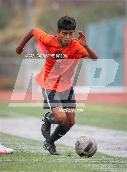 Thumbnail 3 in Paloma Valley @ Poly photogallery.