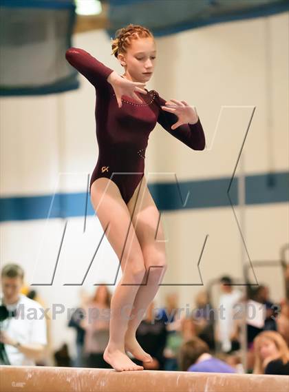 Thumbnail 1 in CHSAA State Gymnastics Championships (4A and 5A Individual Competitions) photogallery.