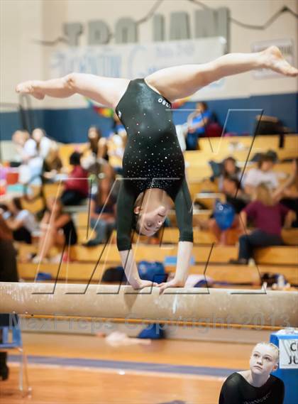Thumbnail 3 in CHSAA State Gymnastics Championships (4A and 5A Individual Competitions) photogallery.