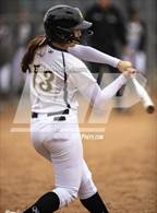 Photo from the gallery "Arlington @ Sunny Hills"