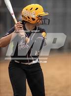 Photo from the gallery "Arlington @ Sunny Hills"