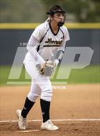Photo from the gallery "Arlington @ Sunny Hills"