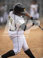 Photo from the gallery "Arlington @ Sunny Hills"