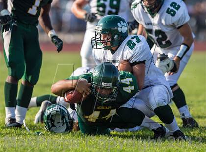 Thumbnail 1 in Lindenhurst @ William Floyd photogallery.