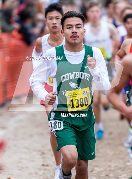 Thumbnail 1 in CIF State Cross Country Championships (Boys D5 Race) photogallery.