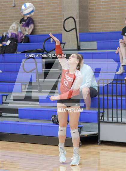 Thumbnail 1 in Paetow vs Cypress Woods (Needville Tournament) photogallery.
