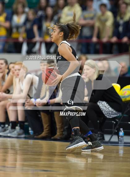 Thumbnail 3 in Pueblo South vs. Evergreen (CHSAA 4A State Final) photogallery.