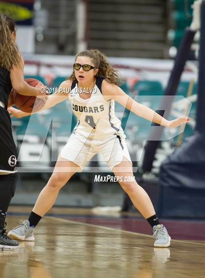 Thumbnail 3 in Pueblo South vs. Evergreen (CHSAA 4A State Final) photogallery.