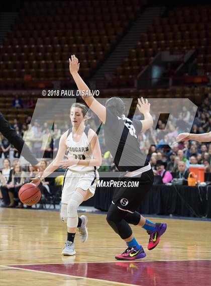 Thumbnail 2 in Pueblo South vs. Evergreen (CHSAA 4A State Final) photogallery.