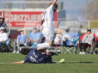 Thumbnail 3 in Bingham @ Copper Hills photogallery.