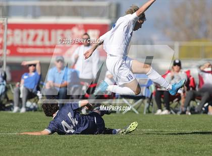 Thumbnail 1 in Bingham @ Copper Hills photogallery.