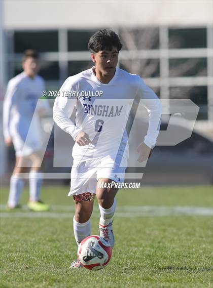 Thumbnail 1 in Bingham @ Copper Hills photogallery.