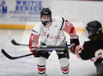 Thumbnail 3 in Watertown/Pomperaug vs. Branford (SCC/SWC D2 Final) photogallery.