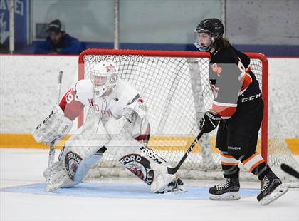 Thumbnail 1 in Watertown/Pomperaug vs. Branford (SCC/SWC D2 Final) photogallery.