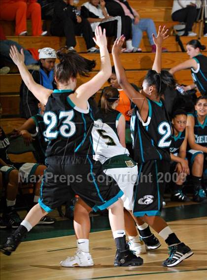 Thumbnail 1 in Sheldon @ Monterey Trail photogallery.