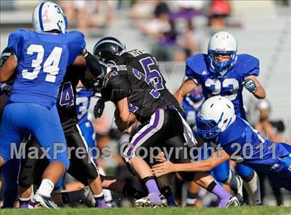 Thumbnail 1 in Bingham @ Riverton photogallery.