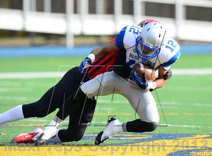 Thumbnail 2 in West Haven @ Wilbur Cross photogallery.