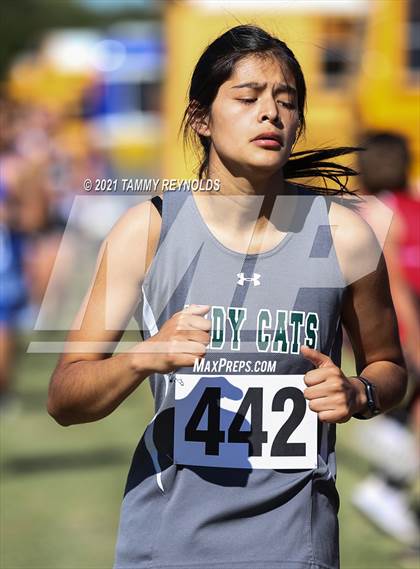 Thumbnail 1 in Poolville Cross Country Meet (Girls) photogallery.