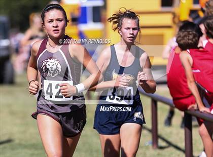 Thumbnail 2 in Poolville Cross Country Meet (Girls) photogallery.