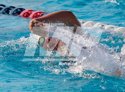 Thumbnail 2 in Higley @ McClintock photogallery.