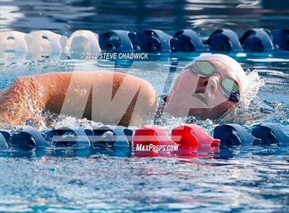 Thumbnail 2 in Higley @ McClintock photogallery.