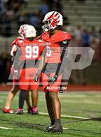 Photo from the gallery "Denmark @ Milton"