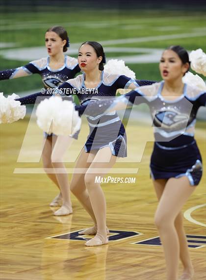 Thumbnail 1 in Riverdale Ridge CHSAA Spirit Poms photogallery.